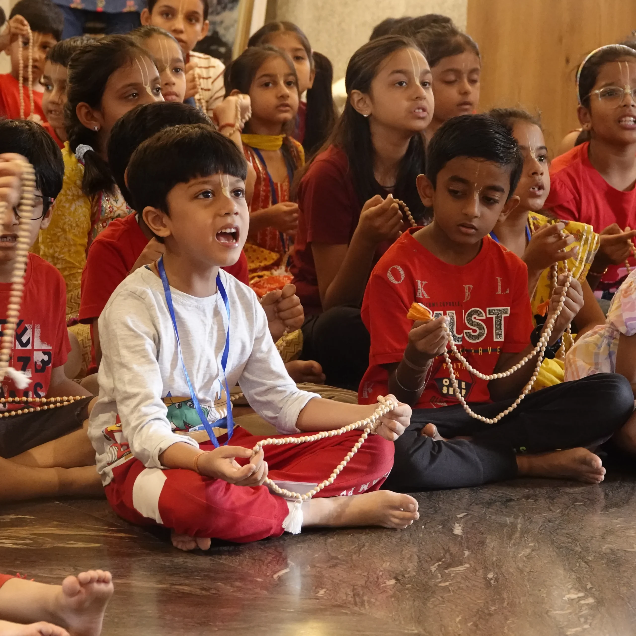 ICVK Programs